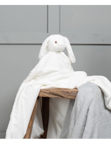 M-MM751-Animal Blanket